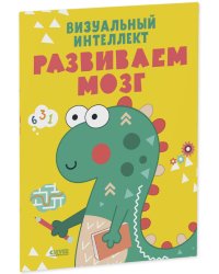 Развивайся и играй! Визуальный интеллект. Развиваем мозг