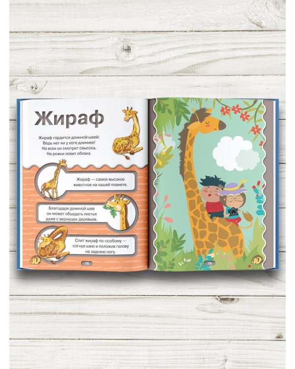 Первая книга малыша 4D