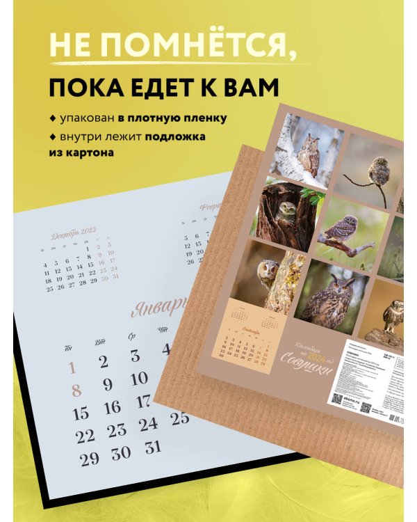 Совушки. Календарь настенный на 2024 год (300х300 мм)