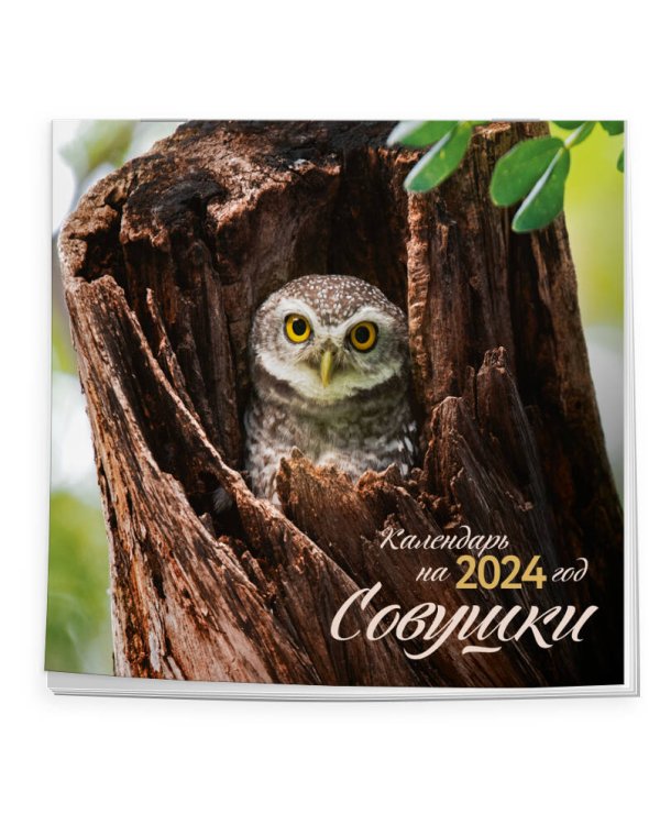 Совушки. Календарь настенный на 2024 год (300х300 мм)