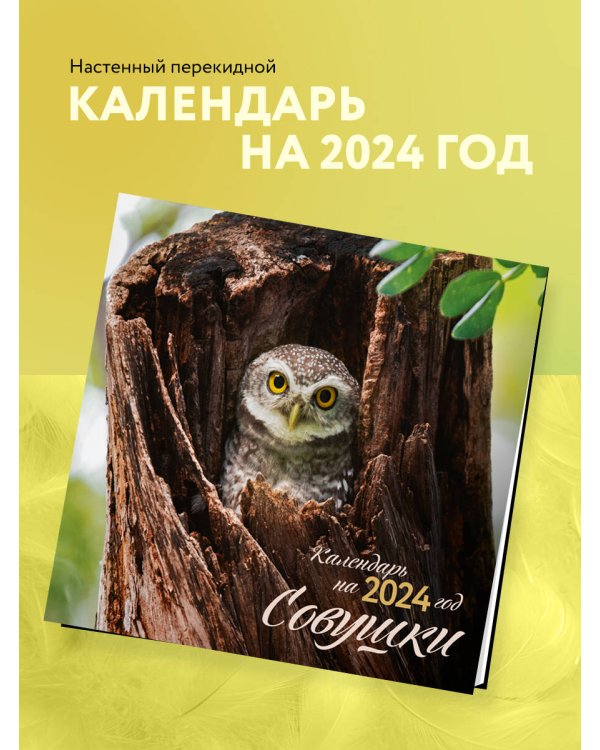 Совушки. Календарь настенный на 2024 год (300х300 мм)