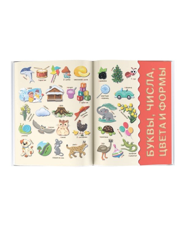 Первая книга малыша 4D