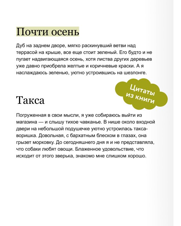 Дополнительное изображение книги «Под вересковым небом»