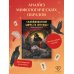 Скандинавские мифы и легенды. Как появились сказания о богах, Рагнарёке и легендарных викингах