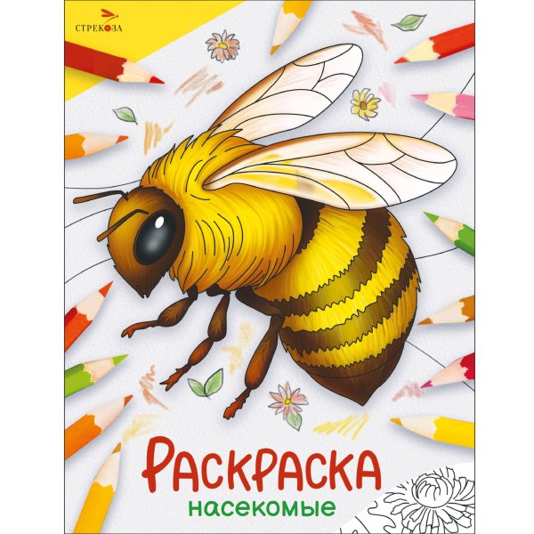 Окружающий мир. Раскраска Окружающий мир. Раскраска. Насекомые