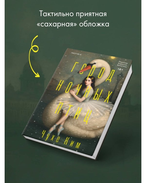 Город ночных птиц