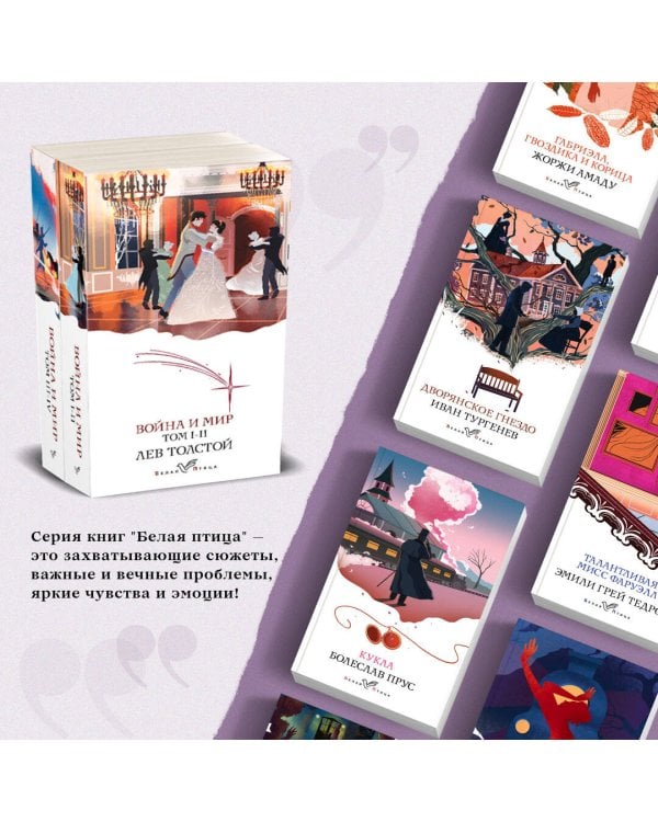 Война и мир (комплект из 2 книг)