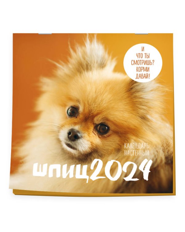 Шпицы. Календарь настенный на 2024 год (300х300)
