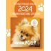 Шпицы. Календарь настенный на 2024 год (300х300)