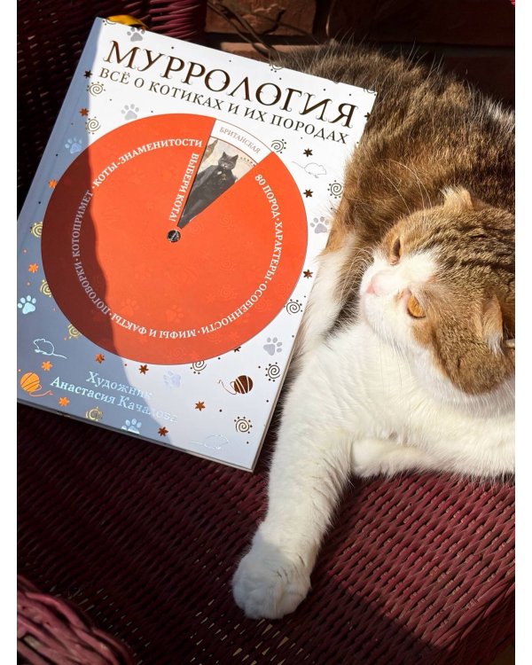 Дополнительное изображение книги «Муррология. Всё о котиках и их породах»
