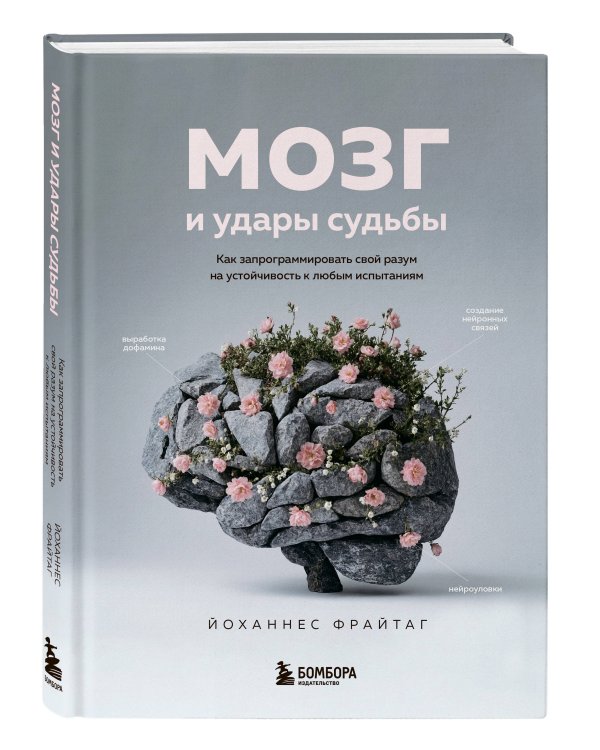 Мозг и удары судьбы. Как запрограммировать свой разум на устойчивость к любым испытаниям