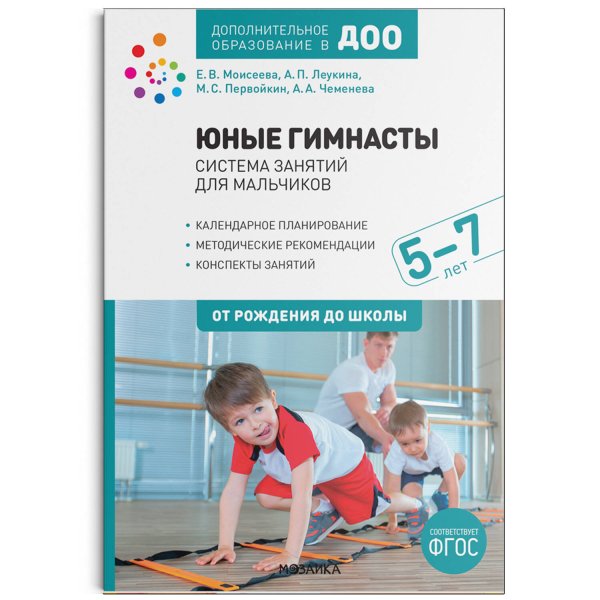 Обложка книги «Юные гимнасты. Система занятий для мальчиков 5-7 лет. ФГОС», ISBN 9785431520877