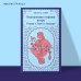 Магистраль. Балканская коллекция Внутренняя сторона ветра. Роман о Геро и Леандре