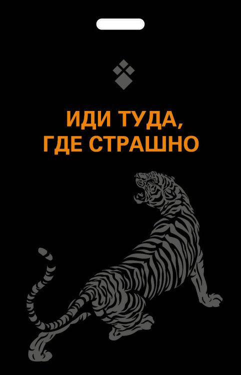 Вселенная мотивации. Некнижная продукция по мотивам бестселлеров Кардхолдер. Иди туда, где страшно