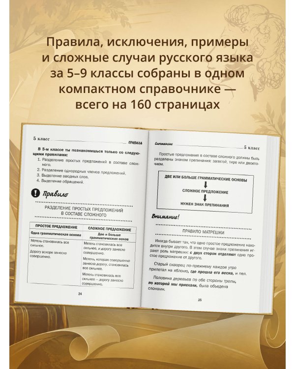 Дополнительное изображение книги «Все правила русского языка в схемах и таблицах. 5 - 9 классы»