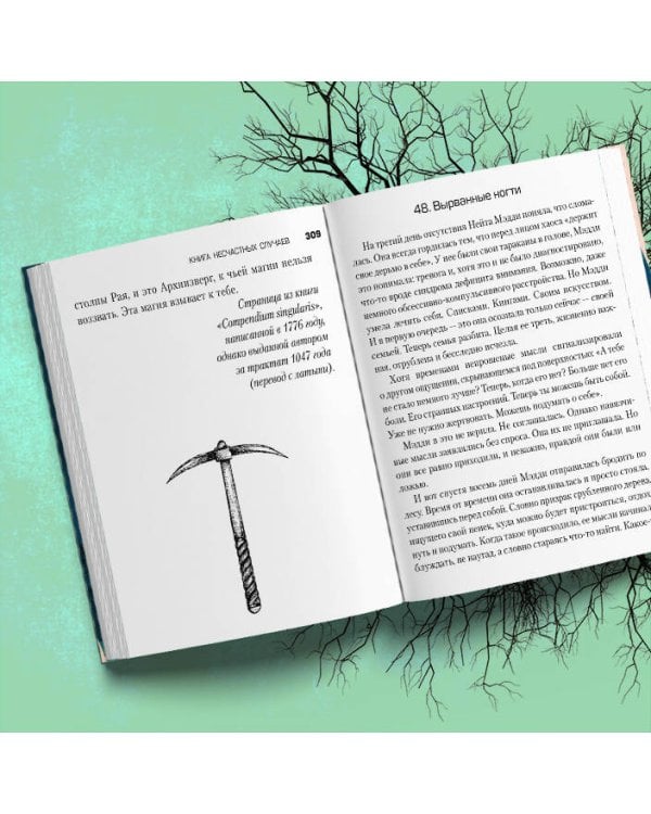 Книга несчастных случаев