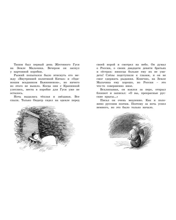 Мальчик, Жестяной Гусь и возвращение Элефанты