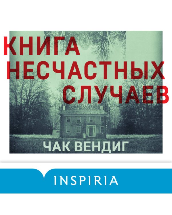 Книга несчастных случаев