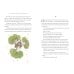 Дополнительное изображение книги «The little prince (Antoine de Saint-Exupery) Маленький Принц (Антуан де Сент-Экзюпери) /Книги на английском языке»