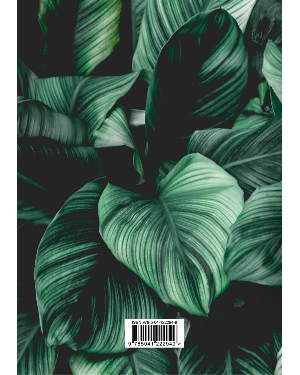 Мои доходы и расходы 2.0. Умный блокнот. Большой CashBook (оф.1)