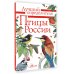 Лучший определитель Птицы России