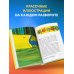 Кафе на краю земли Что хорошего в красивом пейзаже, если вы не смотрите в окно. Новый сборник озарений о том, что действительно важно