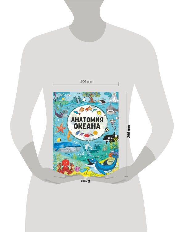 Анатомия океана