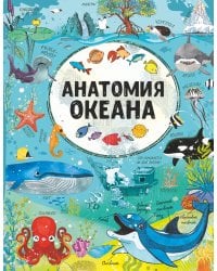 Анатомия океана