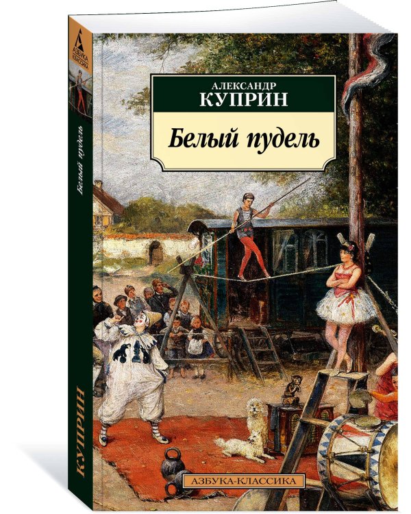 Белый пудель