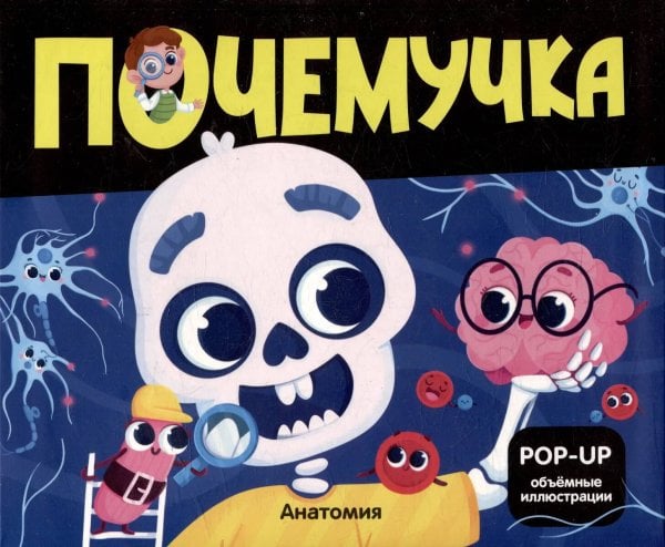 Почемучка. Анатомия