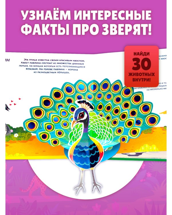 Животные мира. Тактильная книга-панорамка