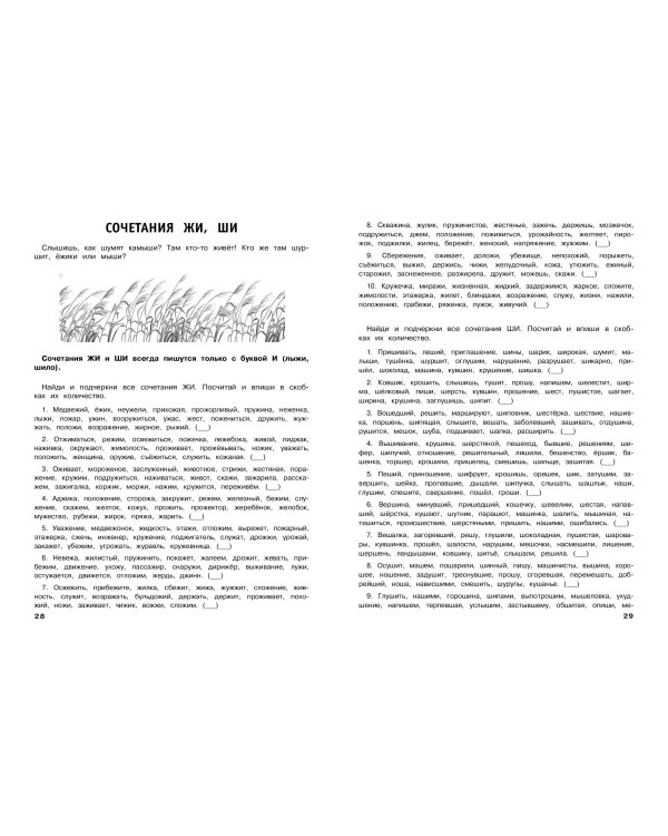 Русский язык. Тренировочные задания. 1 класс