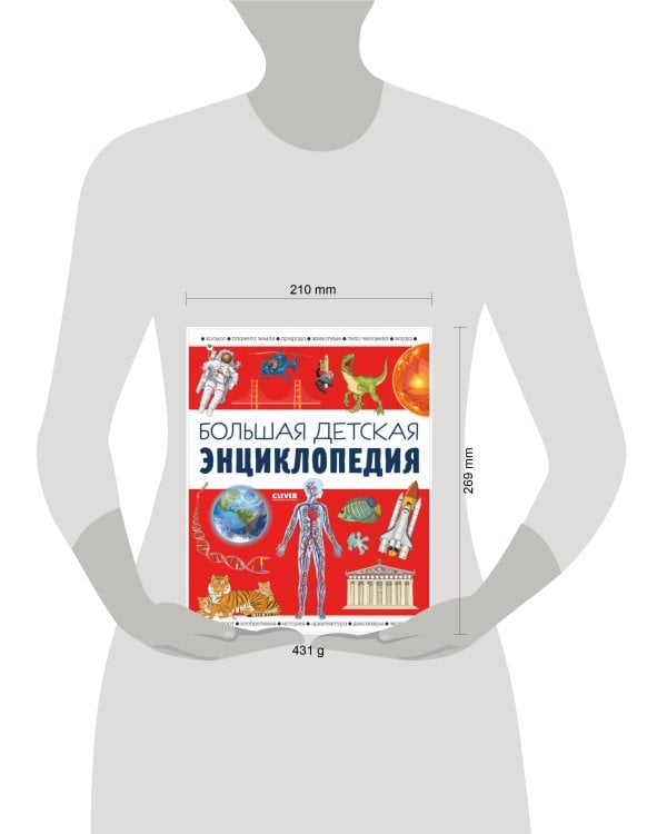 Удивительные энциклопедии. Большая детская энциклопедия/Барсотти И.