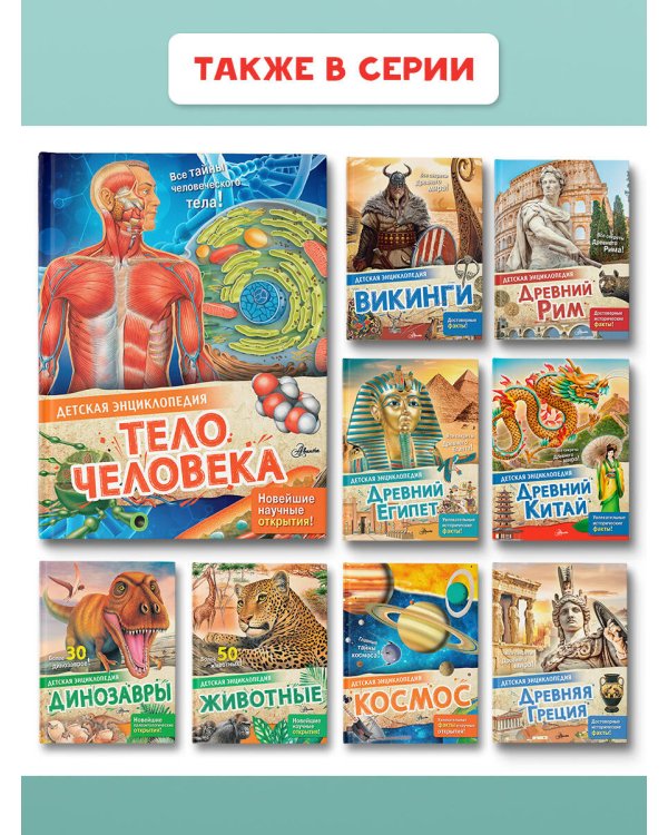 Тело человека