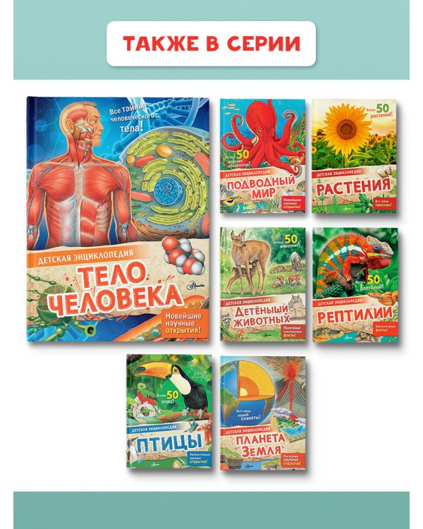 Тело человека