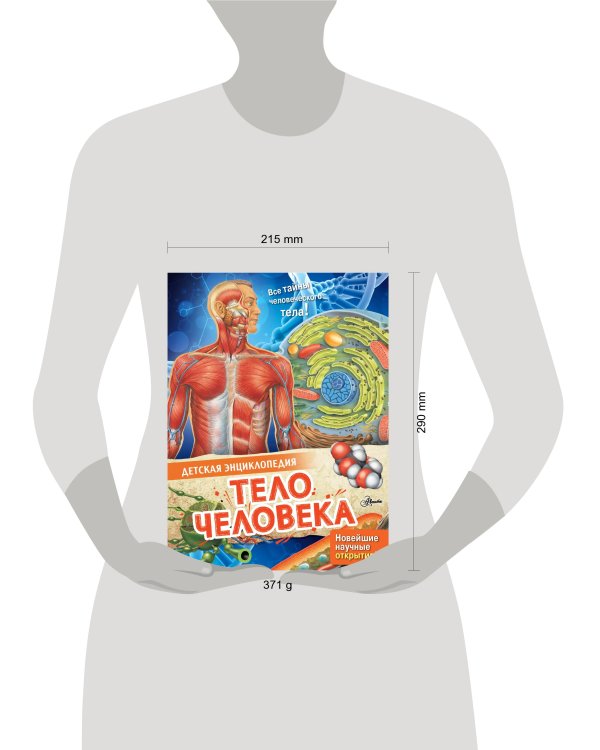 Тело человека