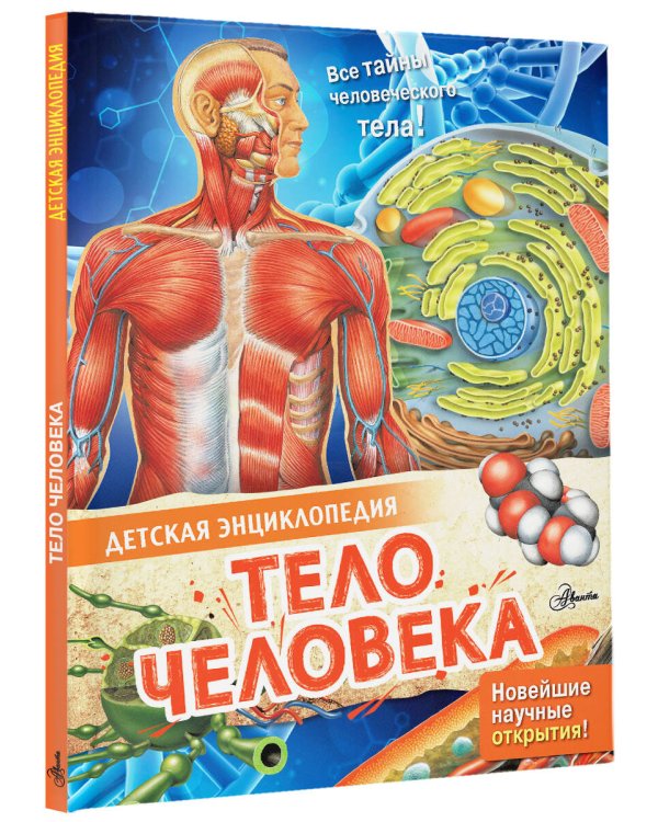 Тело человека