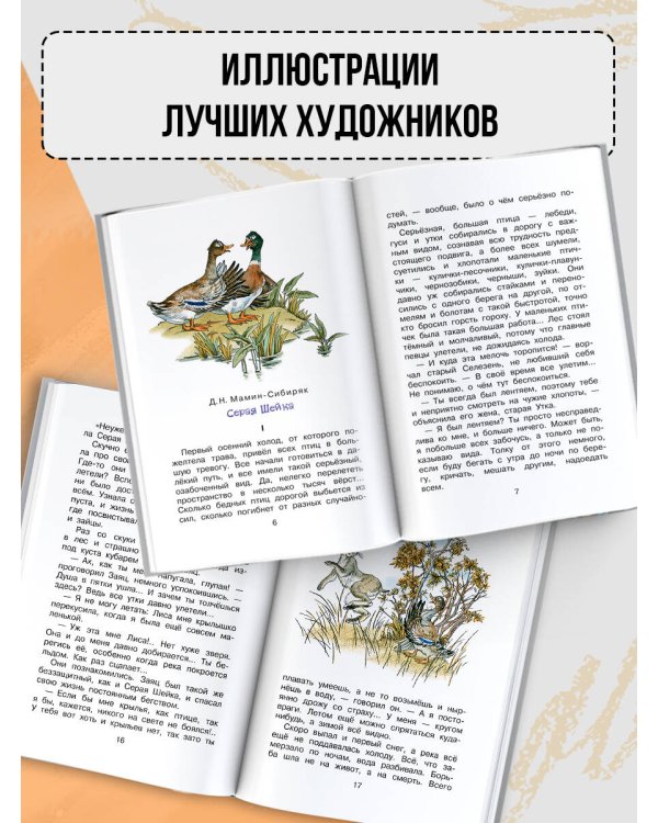 Дополнительное изображение книги «Зимние сказки и стихи»