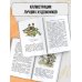 Дополнительное изображение книги «Зимние сказки и стихи»