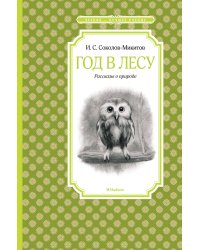 Год в лесу