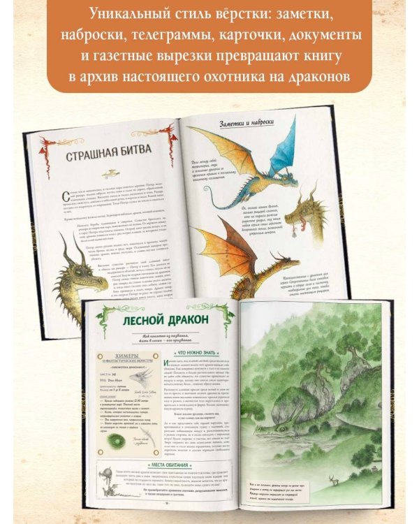 Секретное руководство охотников на драконов