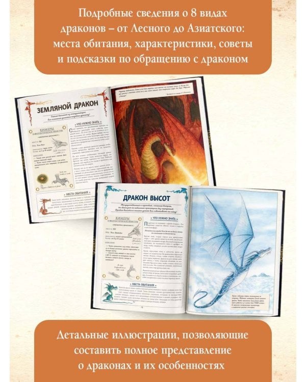 Секретное руководство охотников на драконов