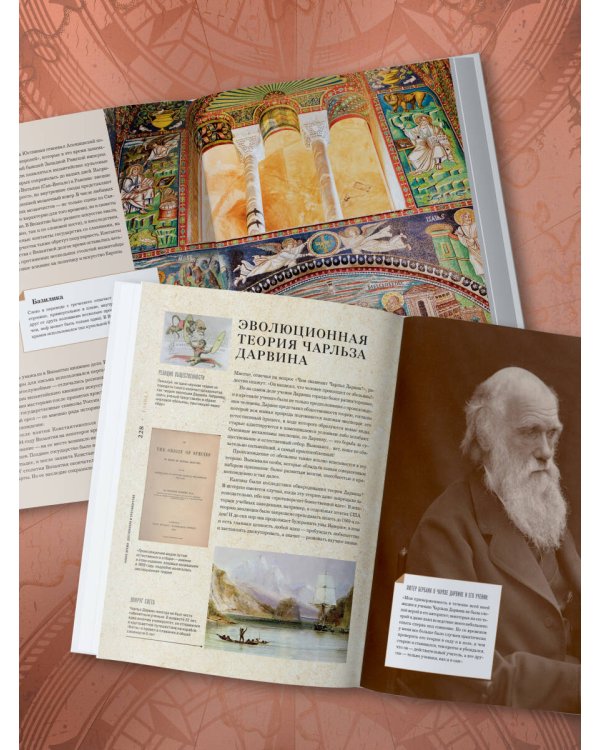 История мира. Год за годом от каменного до цифрового века