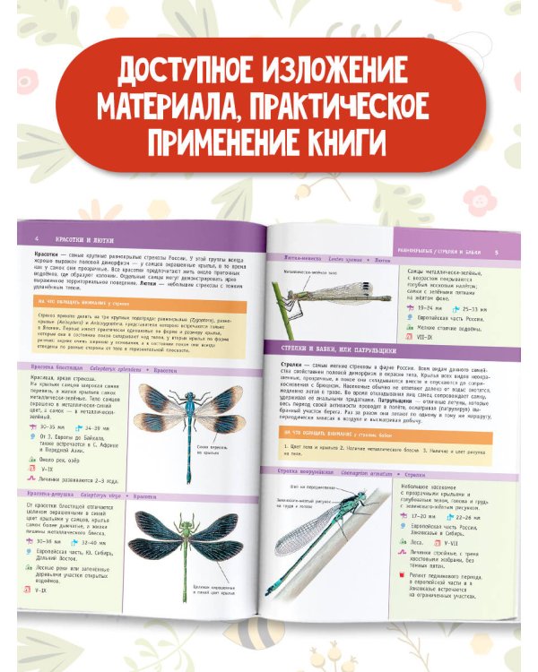 Насекомые России