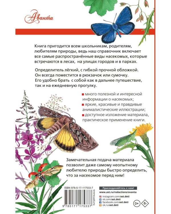 Насекомые России