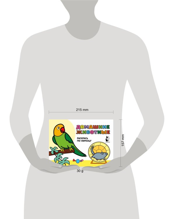 Домашние животные. Раскрась по образцу