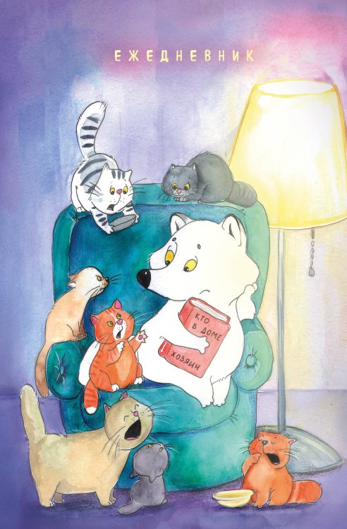 Ежедневники недатированные Котики и полный песец. Ежедневник недатированный (А5, 72 л.)