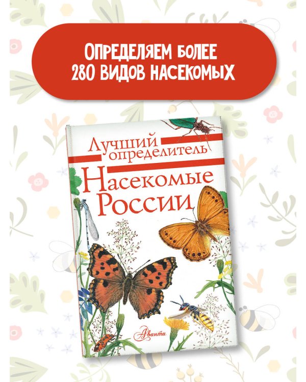 Насекомые России