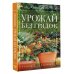 Урожай без грядок. Огород в контейнерах