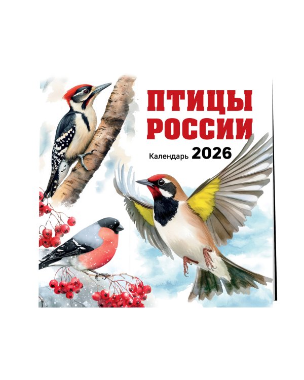 Птицы России. Календарь настенный на 2026 год (300х300 мм)